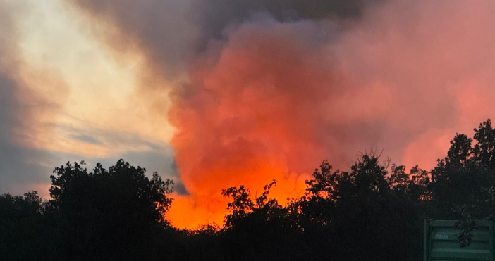 Близо 13 000 декара е вече засегнатата от пожара в