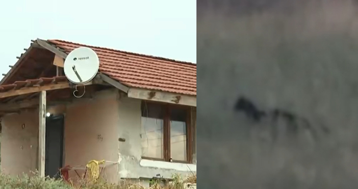 Мая Иванова Кадър Нова ТВЗрители съзряха мистерия в малко българско