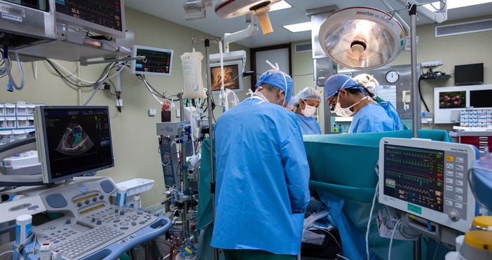 Патогенната гъбичка Candidozyma auris която е резистентна към лекарства се