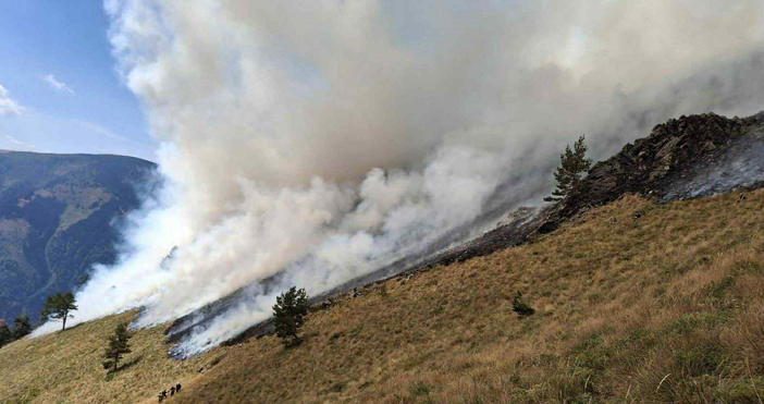 Снимки Природен парк Рилски манастир Пожарът в Природен парк Рилски манастир