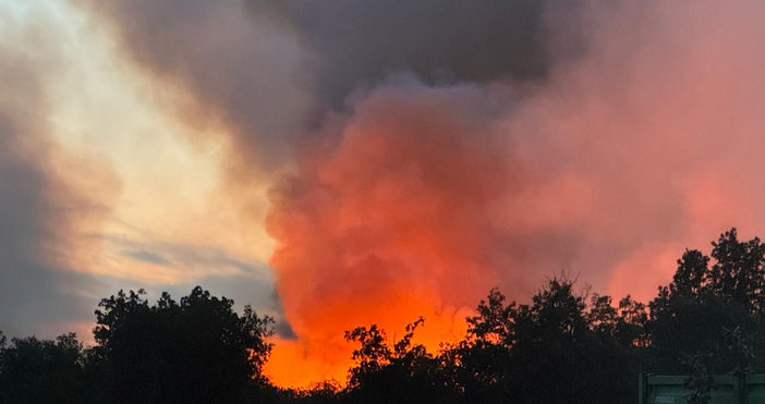 Снощи в община Тополовград беше обявено частично бедствено положение поради