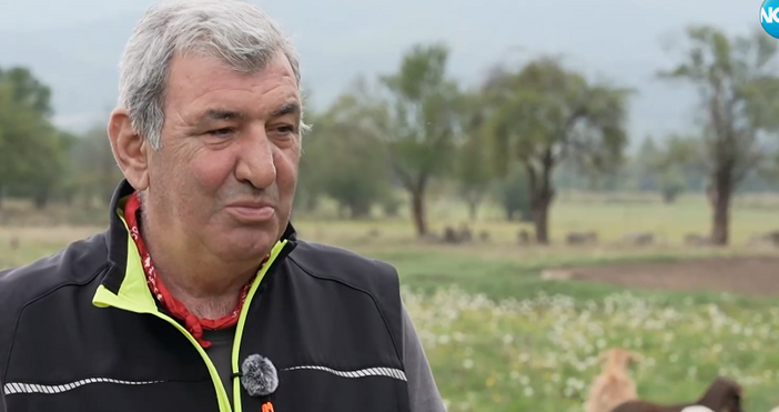 кадри Нова твСлед 15 години продуцент на различни предавания в