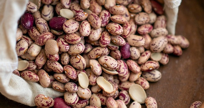 Кметът на Смилян Чавдар Червенков информира за БТА че реколтата