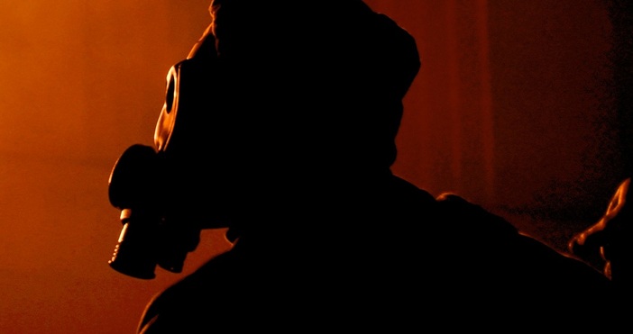 ПекселсСлед руското нашествие в Украйна са били регистрирани 11 000