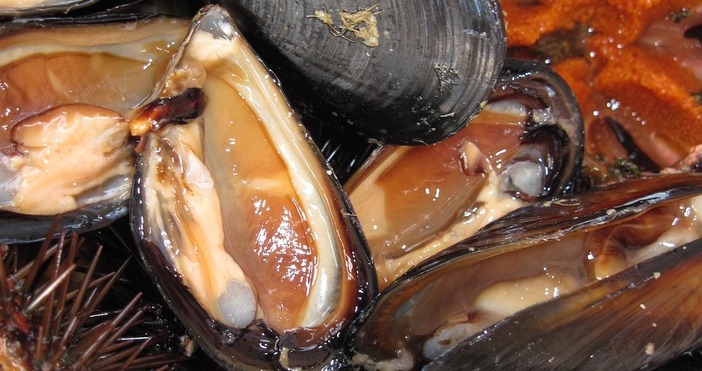 Изправен пред нарастващите температури в Черно море които буквално задушават