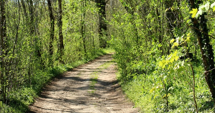 Семейство от Варна което пътувало с автомобила си се изгуби
