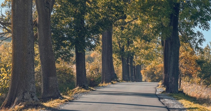 Проф Георги Рачев притесни зрителите след като обяви че утре валежите