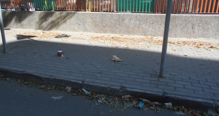 4888 лв санкции за неизметени улици по график и 300