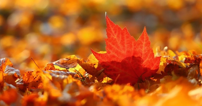 Следващия понеделник 22 септември в 21 19 часа българско време настъпва