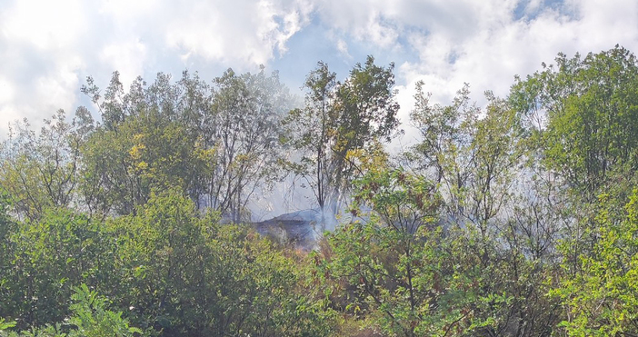 Служители от 6 горски стопанства гасят пожара в Кресненското дефиле  Огънят