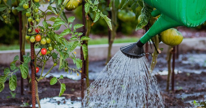 Районният прокурор на Плевен Владимир Радоев разпореди ежедневни проверки за
