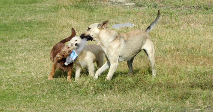 Поредна среща с представители на неправителствена организация за защита на
