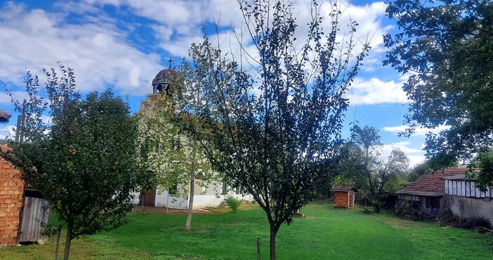 УикипедияВеликотърновското село Шемшево се превърна в притегателно място за