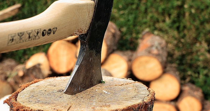 През този отоплителен сезон цената на дървата за огрев за