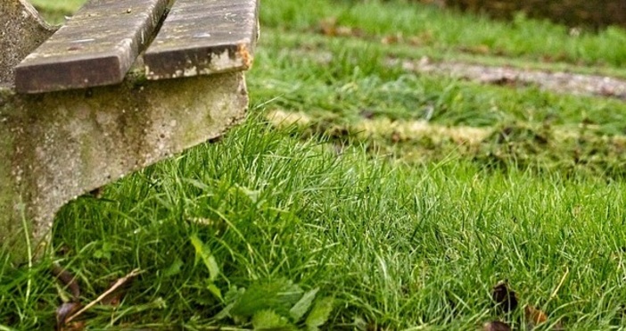 Междублоковото пространство между бул Чаталджа и улиците Цар Асен Войнишка