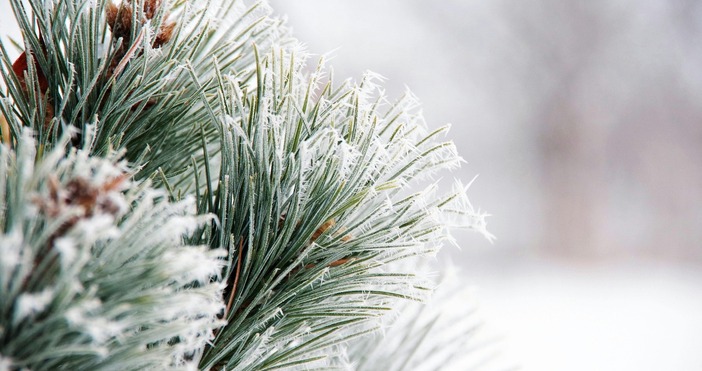 ВНИМАНИЕ СЛАНИ В петък сутринта минималните температури по високите котловини