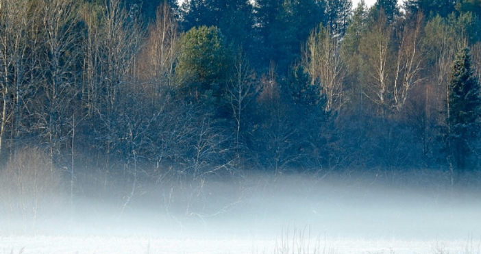 Истински арктически студ скова Родопите тази сутрин В град Чепеларе
