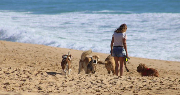 Днес ще бъде слънчево Ще духа слаб до умерен вятър