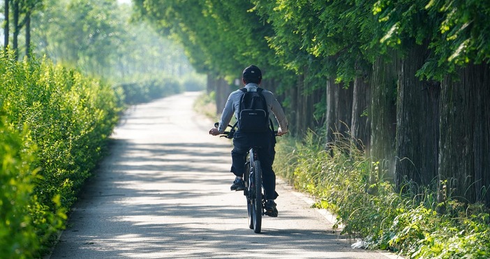 Нова устойчива тенденция набира скорост в Белгия където броят на служителите