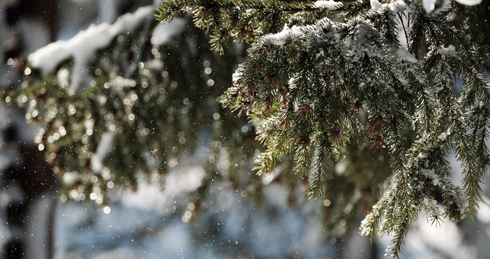 Сняг натрупа по високите места в турския град Ризе в едноименния черноморски