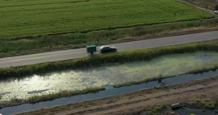 Липсата на вода доведе до по малко производство на ориз тази