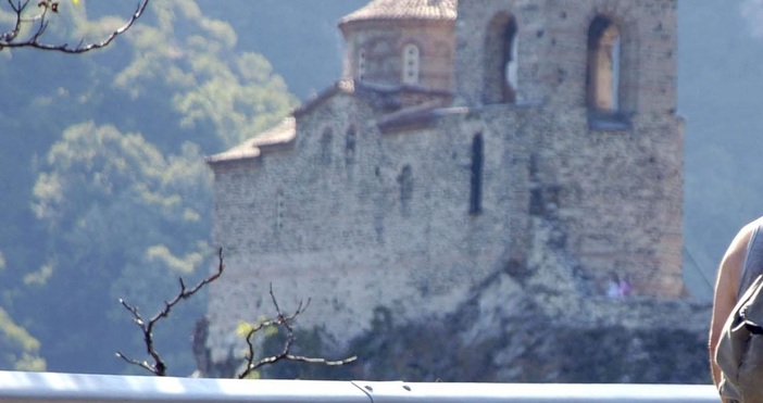 ПиксабеМечка е забелязана в близост до Асеновград, твърди гражданин. Димитър