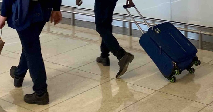 Петел бгСамо за 24 часа от началото на проект Избирам България