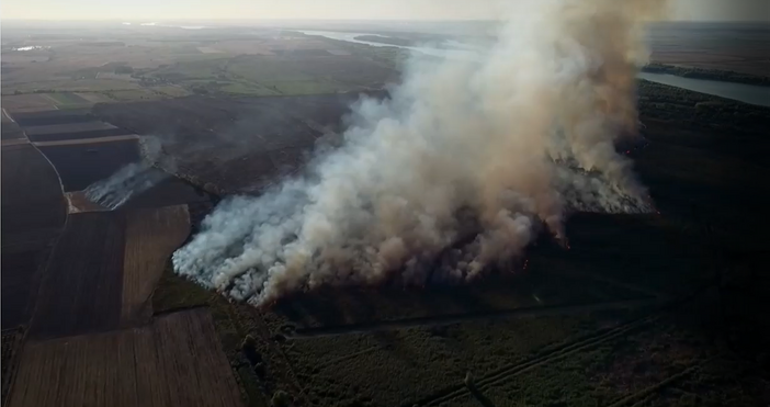 Изцяло потушен е пожарът в защитената местност Калимок Бръшлен край Тутракан До