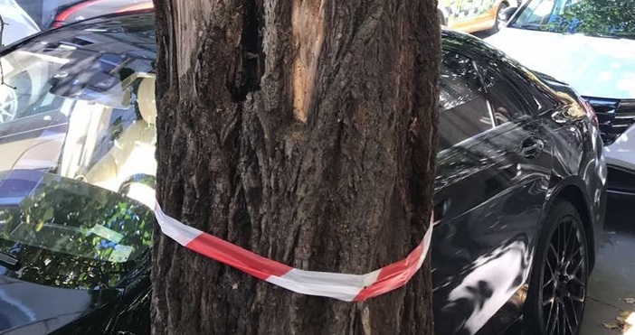 Днес 24 септември от 10 00 до 12 00 ч ще бъде