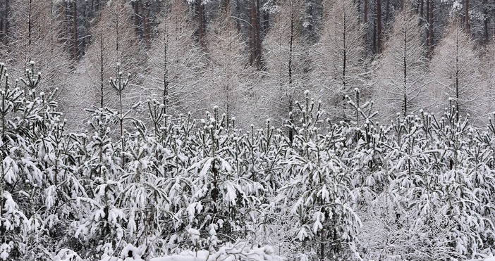 Над страната днес облачността ще бъде разкъсана но значителна Слаби