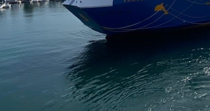 Петел бгНа граничния контролно пропускателен пункт ГКПП Оряхово поради лоши метеорологични условия