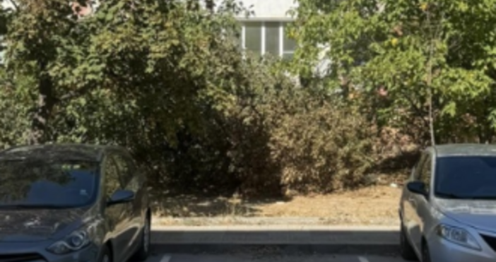 Започват проверки на местата за паркиране и гаражите към сградите