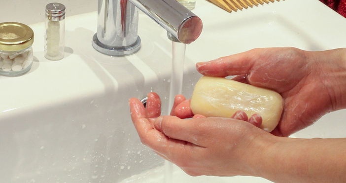 Мая Иванова Снимка pixabayНа 15 октомври отбелязваме Световния ден на