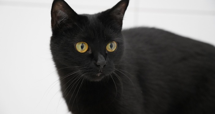 Властите на испанския град Тарас временно забраниха на жителите му