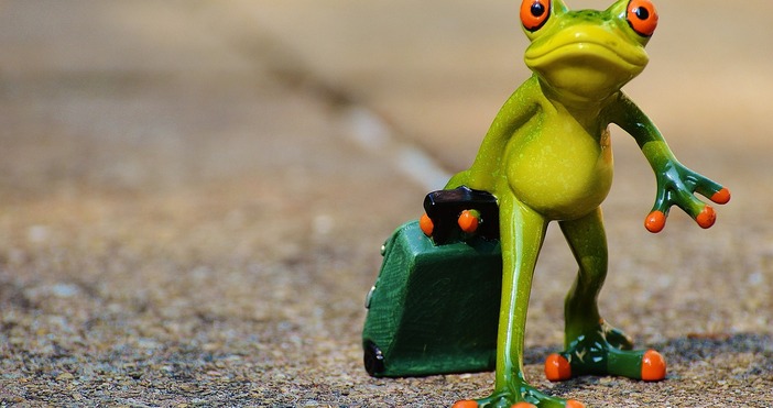 Хороскопа на Ламята за четвъртъкОвенДенят обещава да стане приятен за