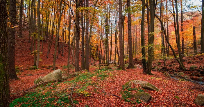 Лудницата с тази есен продължава с пълна сила От дъждовен старт