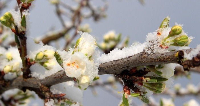 От днес до 5 ноември Фонд Земеделие приема заявления за