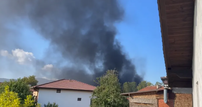 Екип на Регионалната инспекция по околната среда и водите РИОСВ