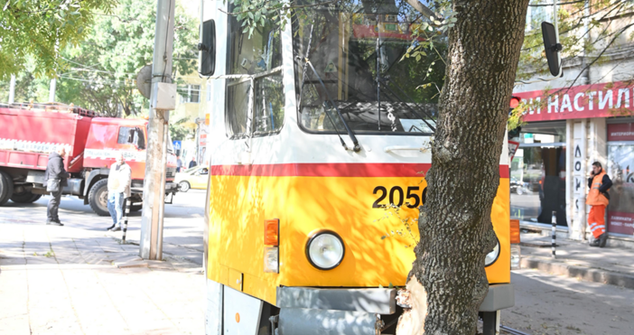 Жена пострада след сблъсък между трамваи в София Катастрофата е