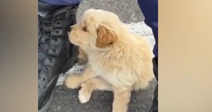 Щастлива развръзка в история от Елхово Полицаи спасиха живота на