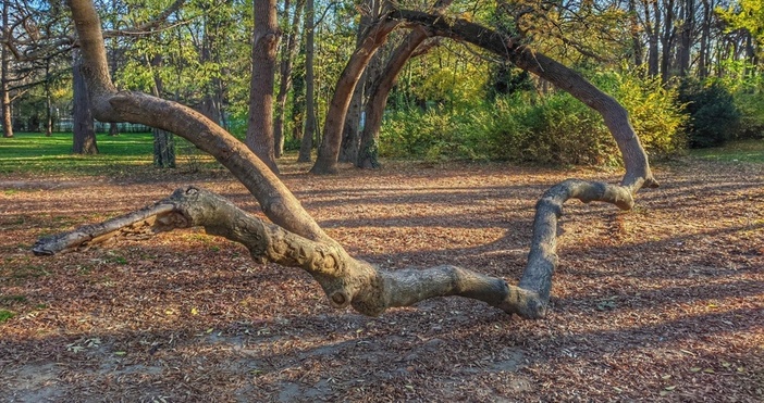Към този момент 16 10 в сутрешния рън на Европейския модел