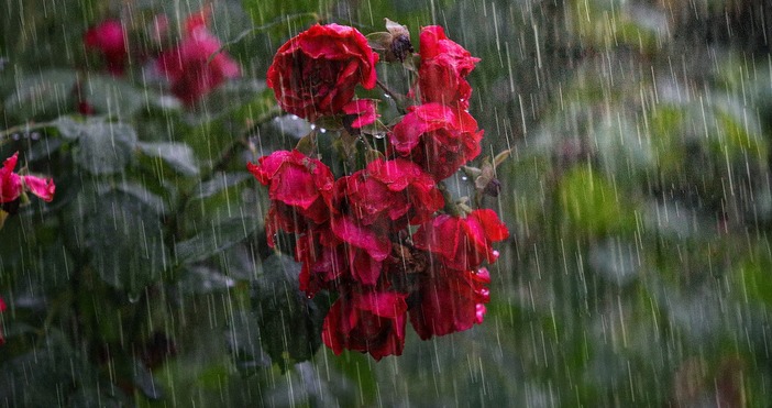 Днес валежите по Черноморието постепенно ще спират следобед ще отсъстват