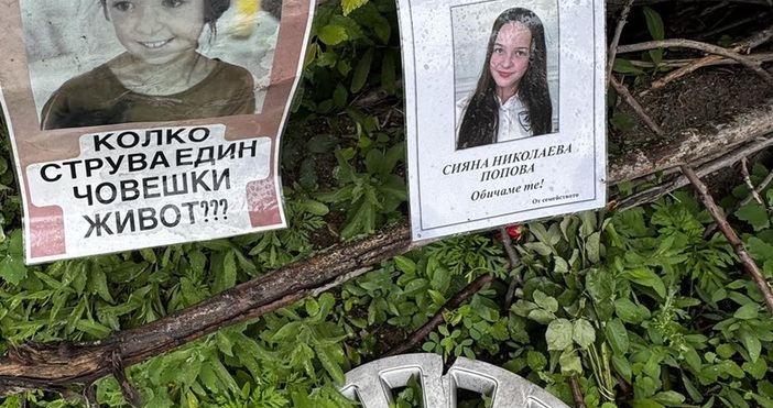 Плевенският окръжен съд заседава днес по делото срещу шофьора на