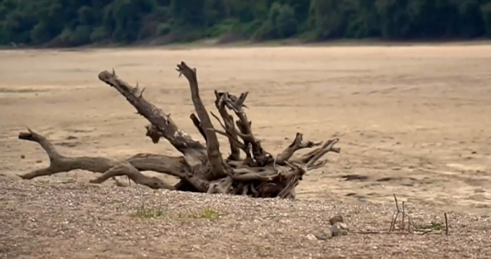 Пилотен проект за повишаване на нивото на река Дунав стартира