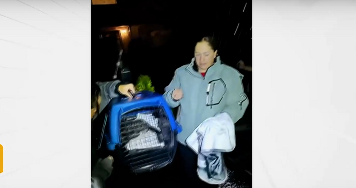 кадри Нова твСофийският зоопарк вече има нова звезда – мъжки