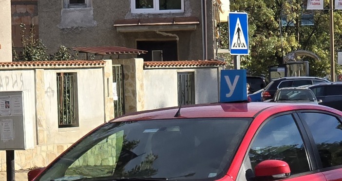 Петел бгСлед трагедията край Созопол експертите настояват за спешни мерки и