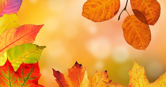 В сутрешните часове на места в низините и котловините видимостта