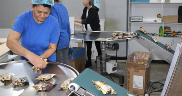 На заседание на българо румънската земеделска комисия бе посетена фабрика Мартис