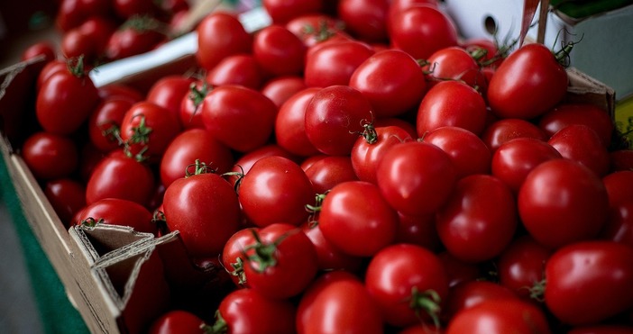 Смята се че чери доматите са в центъра на глобална