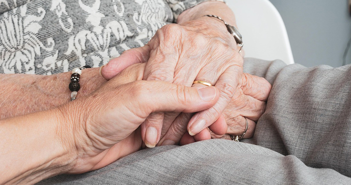 Мая Иванова Снимка pixabayДнес е Международния ден на тъщата и